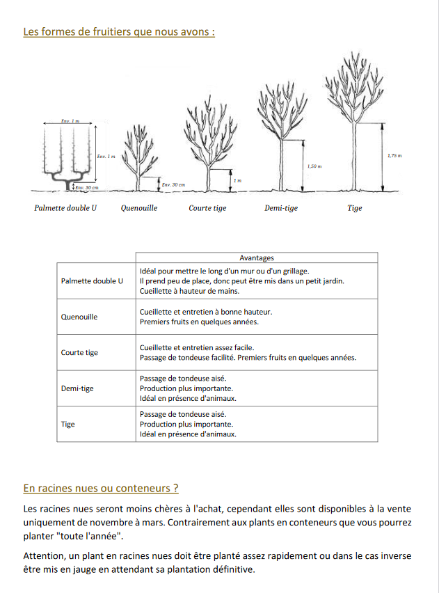 arbre fruitier